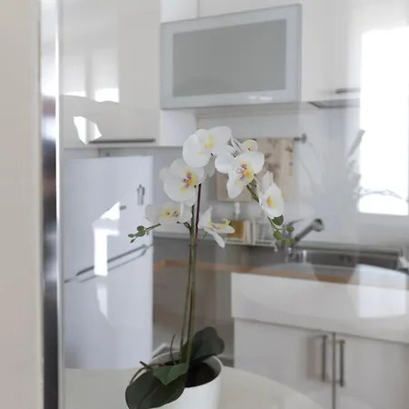 Bed and breakfast Brera